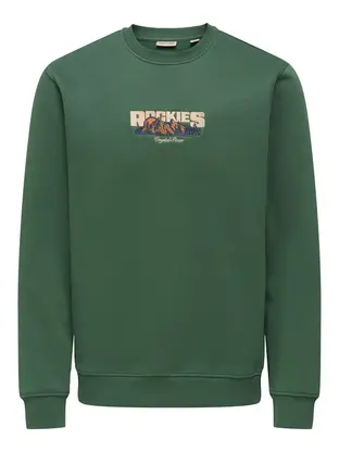 Only & Sons ONSCONNOR SIMPLE LIFE REG LS CREW S
