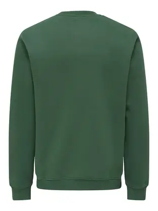 Only & Sons ONSCONNOR SIMPLE LIFE REG LS CREW S