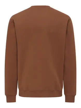 Only & Sons ONSCONNOR SIMPLE LIFE REG LS CREW S