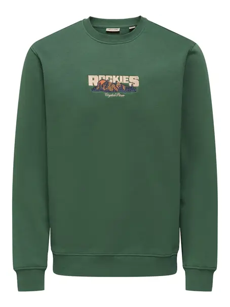 Only & Sons ONSCONNOR SIMPLE LIFE REG LS CREW S