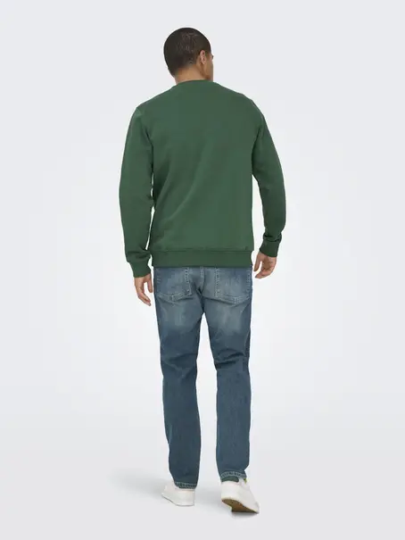 Only & Sons ONSCONNOR SIMPLE LIFE REG LS CREW S