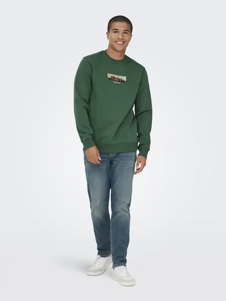 Only & Sons ONSCONNOR SIMPLE LIFE REG LS CREW S