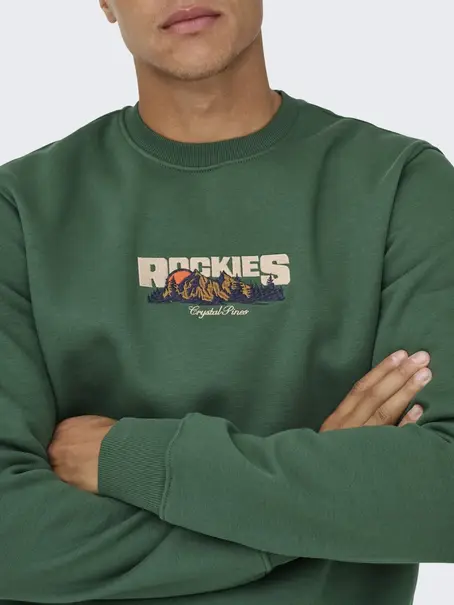 Only & Sons ONSCONNOR SIMPLE LIFE REG LS CREW S