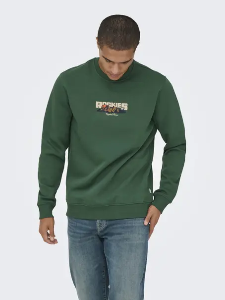 Only & Sons ONSCONNOR SIMPLE LIFE REG LS CREW S