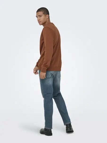 Only & Sons ONSCONNOR SIMPLE LIFE REG LS CREW S