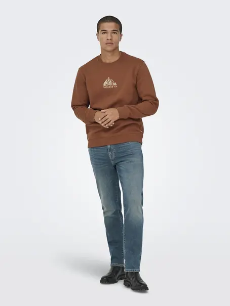 Only & Sons ONSCONNOR SIMPLE LIFE REG LS CREW S