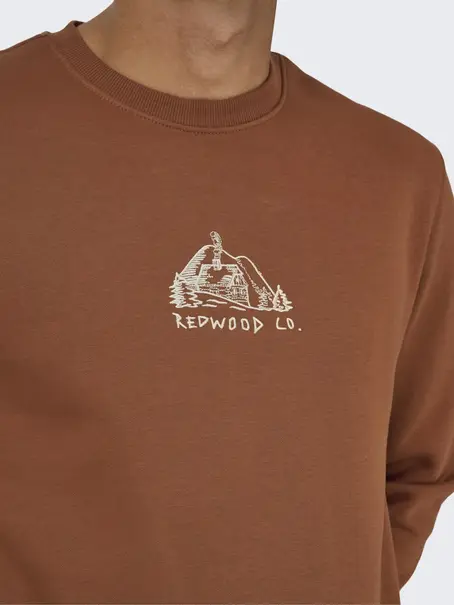 Only & Sons ONSCONNOR SIMPLE LIFE REG LS CREW S