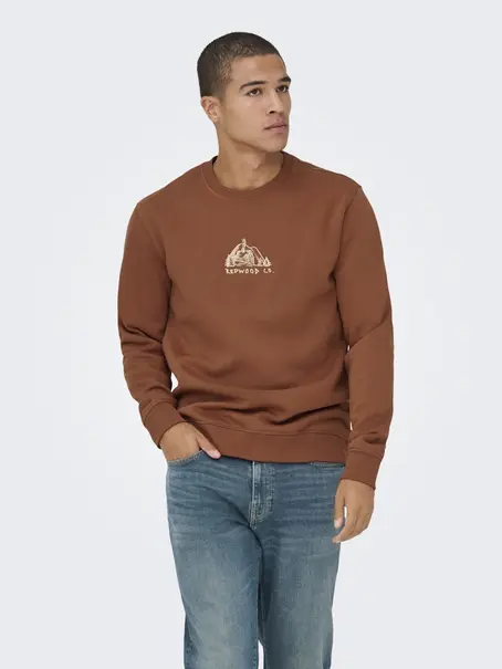 Only & Sons ONSCONNOR SIMPLE LIFE REG LS CREW S