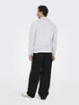 Only & Sons ONSDAVID REG HALF ZIP SWEAT NOOS