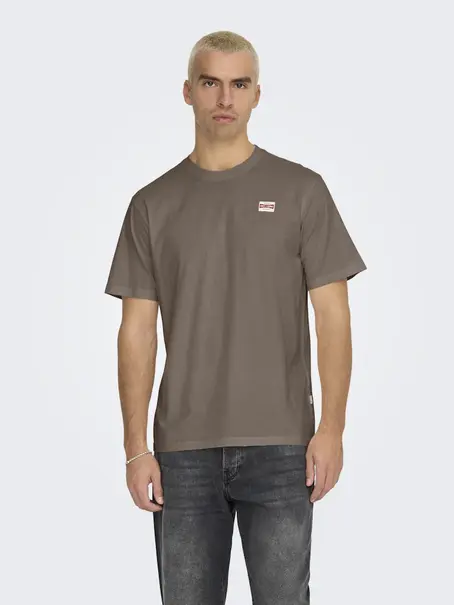 Only & Sons ONSDAWSON REG SS TEE VD