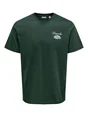 Only & Sons ONSFRED OSTERIA RLX SS TEE