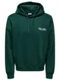 Only & Sons ONSGALLERY VTG HOODIE