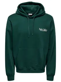Only & Sons ONSGALLERY VTG HOODIE