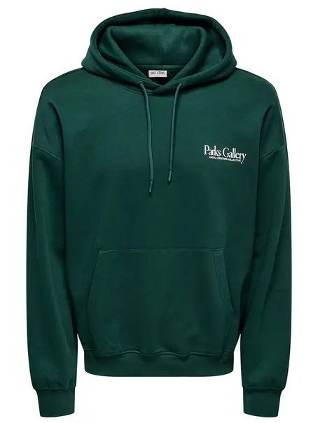 Only & Sons ONSGALLERY VTG HOODIE