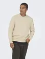 Only & Sons ONSJAMES RLX CREW KNIT NOOS
