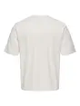 Only & Sons ONSLES CLASSIQUES CASPIAN SS TEE