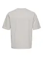 Only & Sons ONSLES CLASSIQUES CASPIAN SS TEE