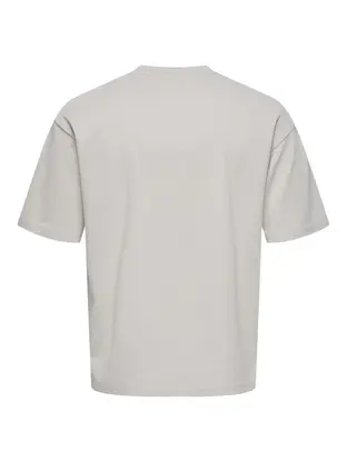Only & Sons ONSLES CLASSIQUES CASPIAN SS TEE