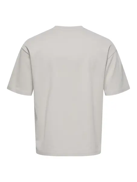 Only & Sons ONSLES CLASSIQUES CASPIAN SS TEE