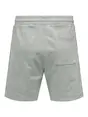 Only & Sons ONSLES CLASSIQUES REG PIN TUCK SHOR