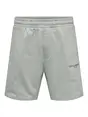 Only & Sons ONSLES CLASSIQUES REG PIN TUCK SHOR
