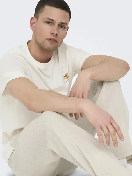 Only & Sons ONSMANUEL LIFE REG SS DESERT TEE CS