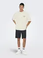 Only & Sons ONSMILO PASADENA OVS SS TEE