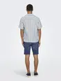 Only & Sons ONSTREV LIFE REG STRIPE SS SHIRT NO