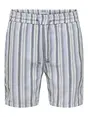 Only & Sons ONSTREV LIFE REG STRUC STRIPE SHORT
