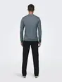 Only & Sons ONSWYLER LIFE REG 14 LS POLO KNIT N