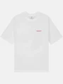 Pockies ZTS-01