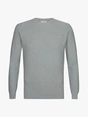 Profuomo PULLOVER CREW NECK LS GREEN