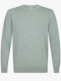 Profuomo PULLOVER CREW NECK LS GREEN
