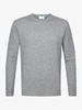Profuomo PULLOVER CREW NECK M GREY