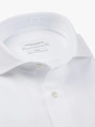 Profuomo SHIRT X-CUTAWAY SC RDF WHITE