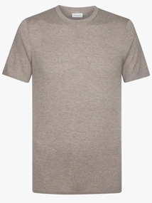 Profuomo T-SHIRT CREW NECK SS M BROWN