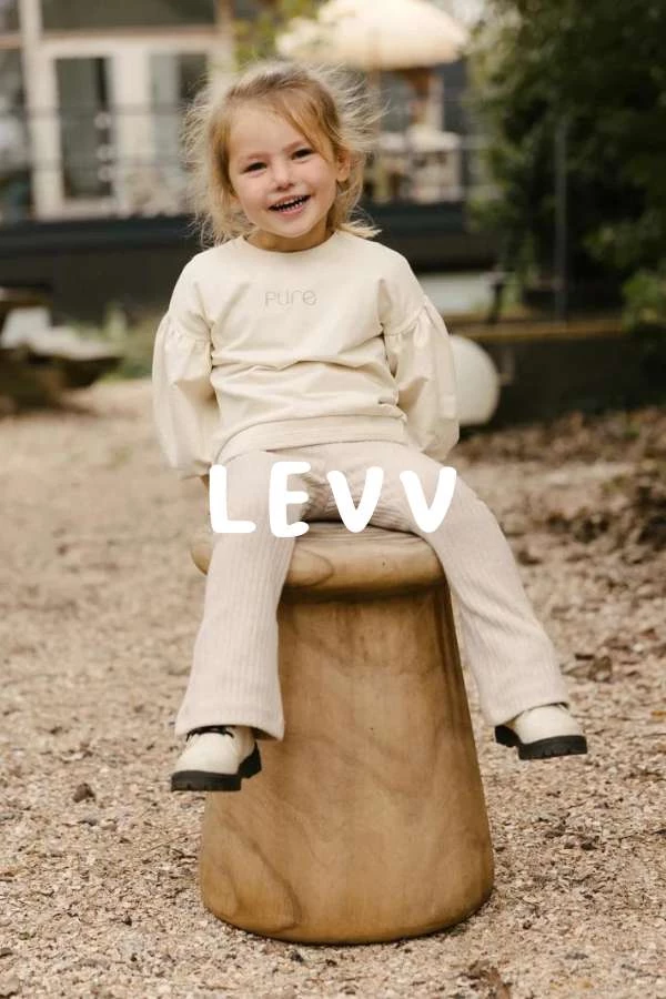 R4 - Carrousel - Levv