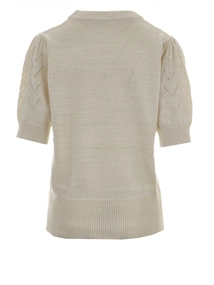 Roetgerink Basic 2L689 lione