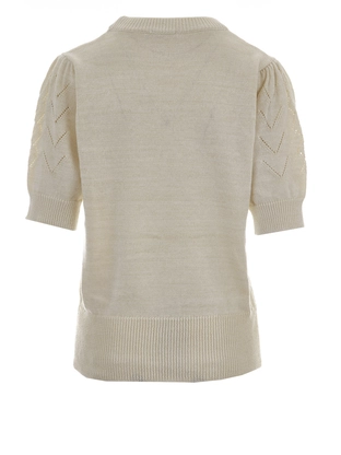 Roetgerink Basic 2L689 lione