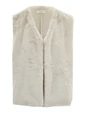 Signe Nature 843096