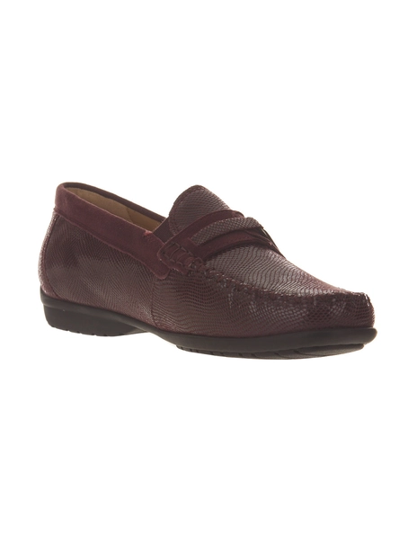 Sioux 314071 cortizia 723