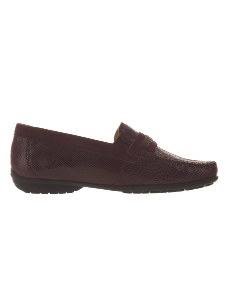 Sioux 314071 cortizia 723