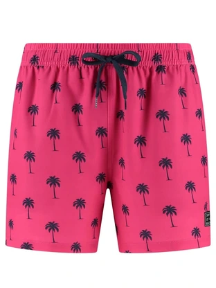 Son of a Beach Palmtree