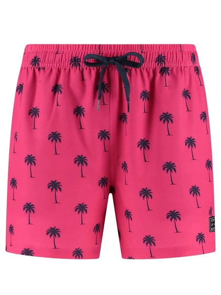 Son of a Beach Palmtree
