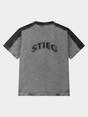 Stieglitz W2502021-011 ZAPH