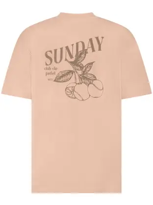 Supply & Co Cooper T-shirt With Backprint
