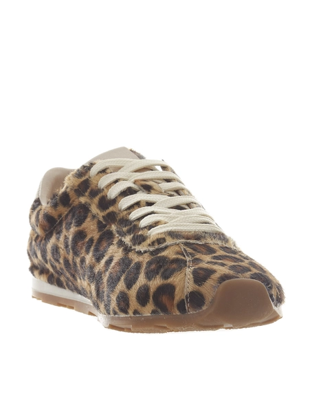 Tango Diya1 multi leopard