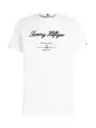 Tommy Hilfiger MW0MW33691