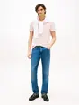 Tommy Hilfiger MW0MW34757