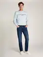 Tommy Hilfiger MW0MW39034